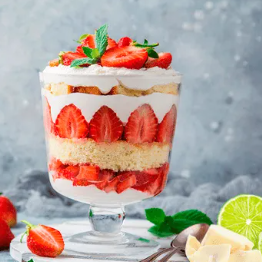 Chantilly Norcau Chanty 1L PURATOS