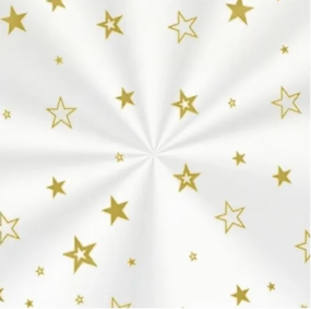 Saco Transparente Estrela Ouro 11x19 - 50...