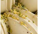 Pasta de pistache 100% Joy Paste Pistacch...