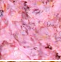 Creme de chocolate branco frutas vermelha...